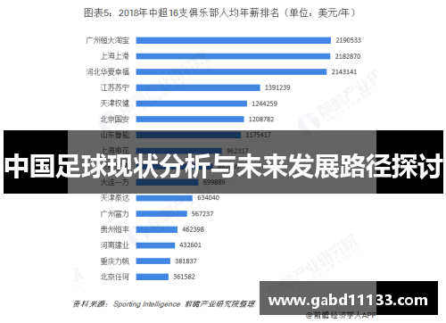 中国足球现状分析与未来发展路径探讨